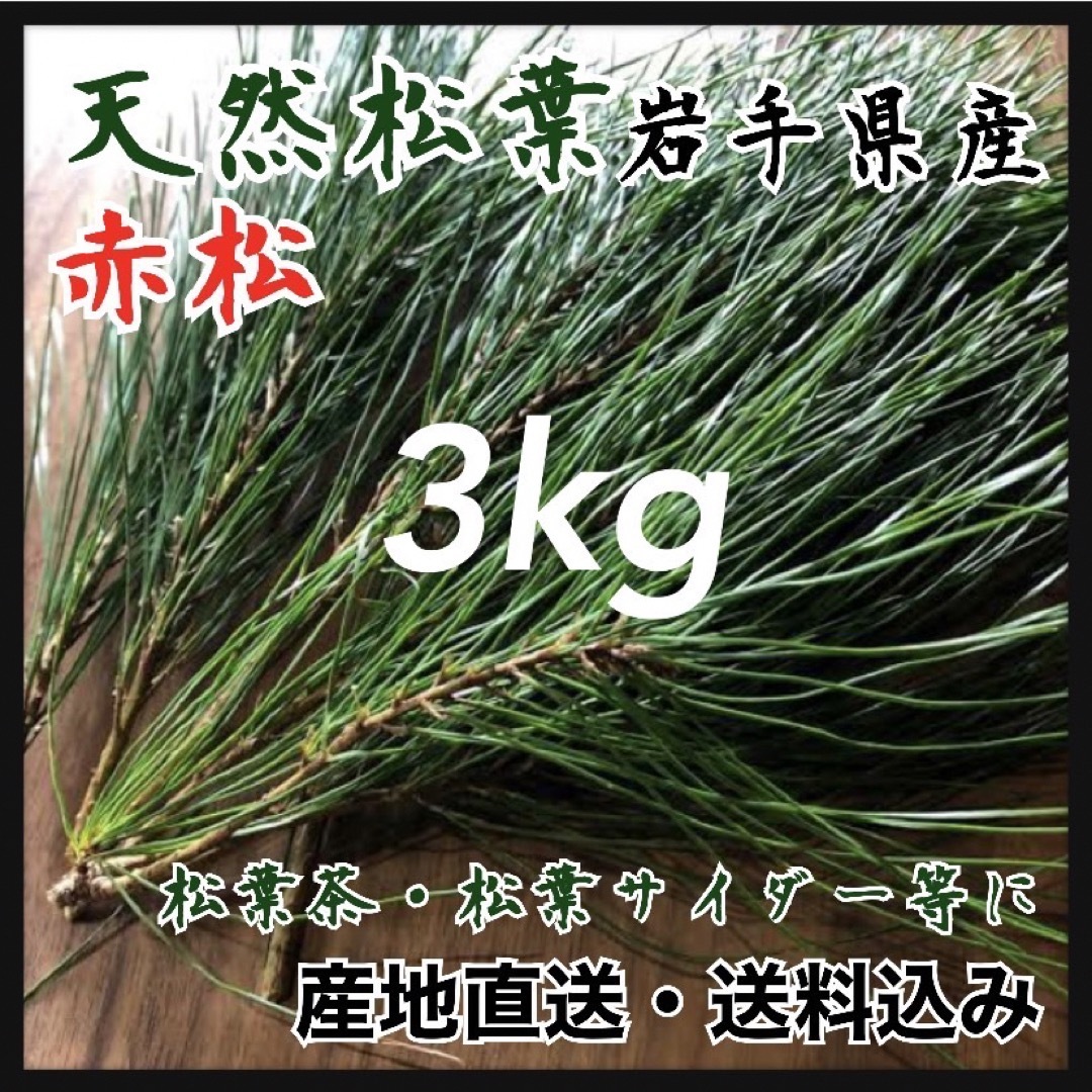 【大容量3kg】天然 松葉 松の葉 松茸の産地 赤松　松葉茶