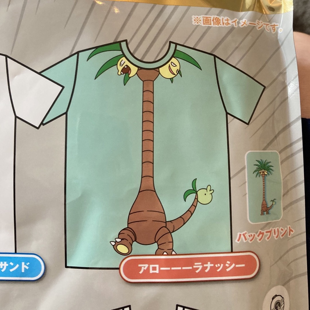 ポケモンセンター　アローーーラナッシー　バラエTシャツ 2枚(ペアセット)