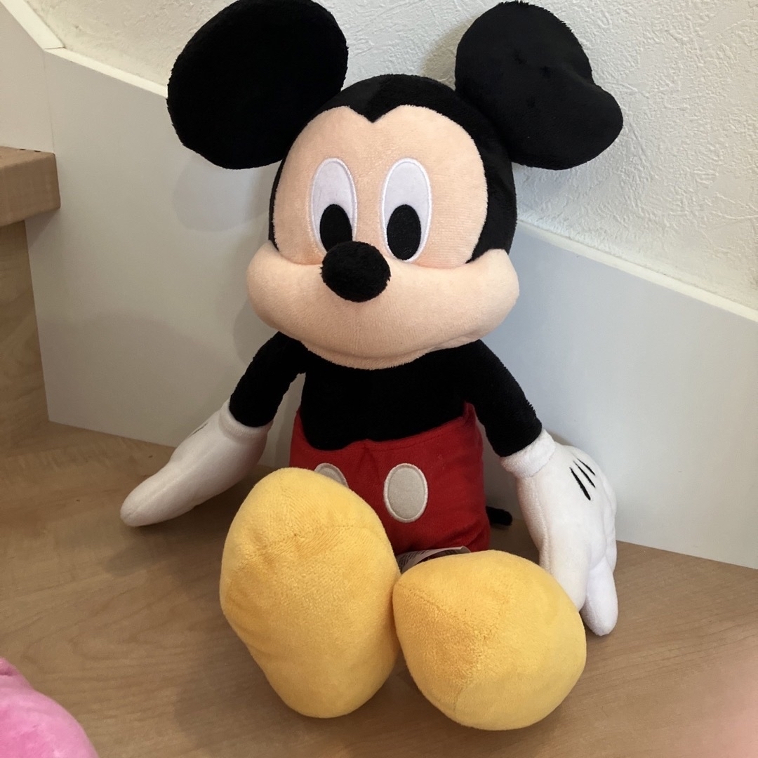 Disney - ミッキー、ミニーぬいぐるみセットの通販 by potepi ...