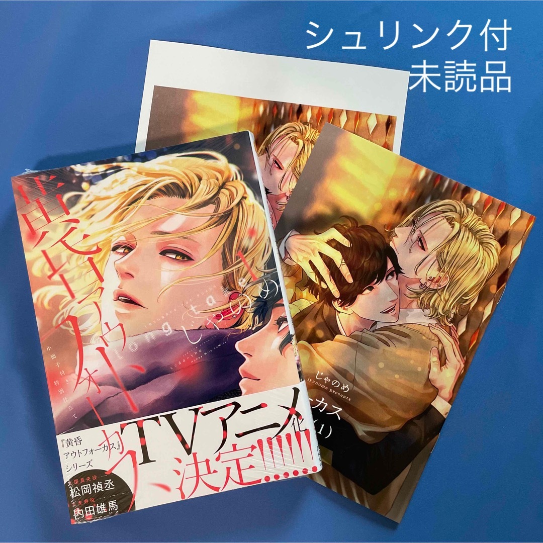 56%OFF!】 未開封 黄昏アウトフォーカス long take 1 じゃのめ sai-dc.com