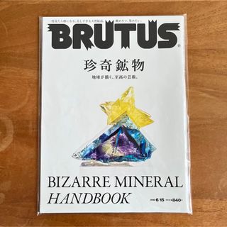 マガジンハウス(マガジンハウス)のBRUTUS ブルータス 珍奇鉱物 2022年6月15日号 マガジンハウス(アート/エンタメ/ホビー)