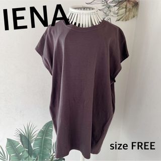 イエナ(IENA)のIENAイエナ　ラウンドテールプルオーバー★ブラウン　フリーサイズ(Tシャツ(半袖/袖なし))