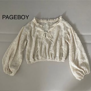 ページボーイ(PAGEBOY)の【ページボーイ】シースルー　トップス　ショート丈(シャツ/ブラウス(半袖/袖なし))