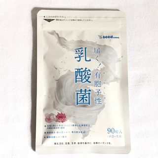 乳酸菌 サプリメント 約3ヵ月分 有胞子性乳酸菌 ソフトカプセル ダイエット (その他)