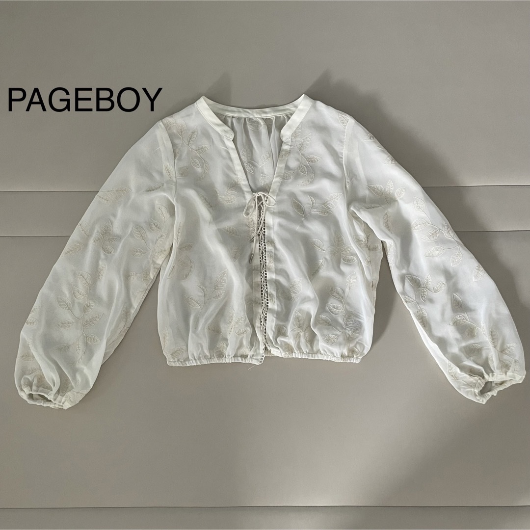 PAGEBOY(ページボーイ)の【PAGEBOY】シースルートップス　刺繍トップス レディースのトップス(シャツ/ブラウス(長袖/七分))の商品写真