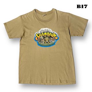 アンビル(Anvil)の希少品！ anvil アンビル 半袖Tシャツ ブラウン ベージュ 茶 L USA(Tシャツ/カットソー(半袖/袖なし))