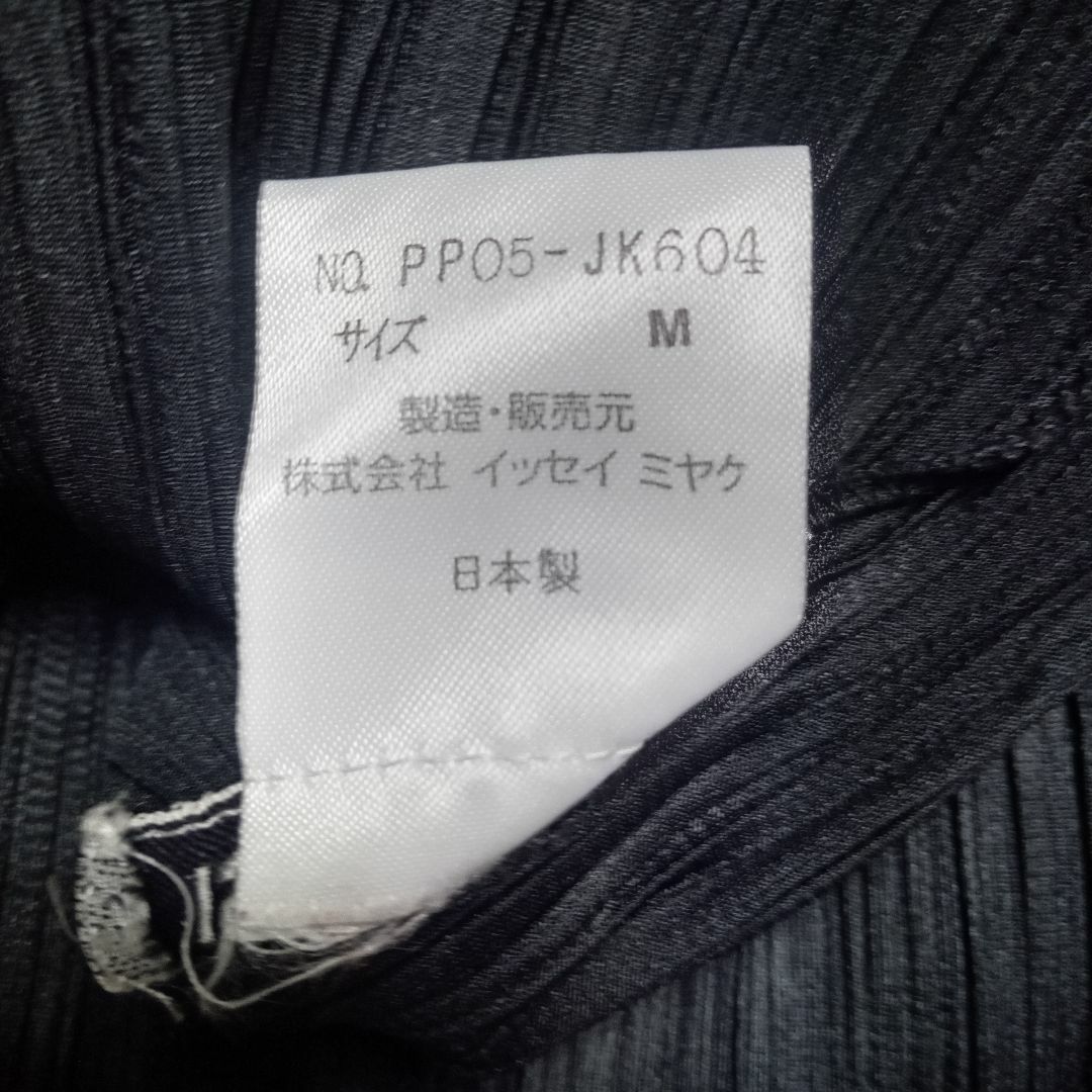 イッセイミヤケ　プリーツ　タートル　黒 レディースのトップス(シャツ/ブラウス(長袖/七分))の商品写真
