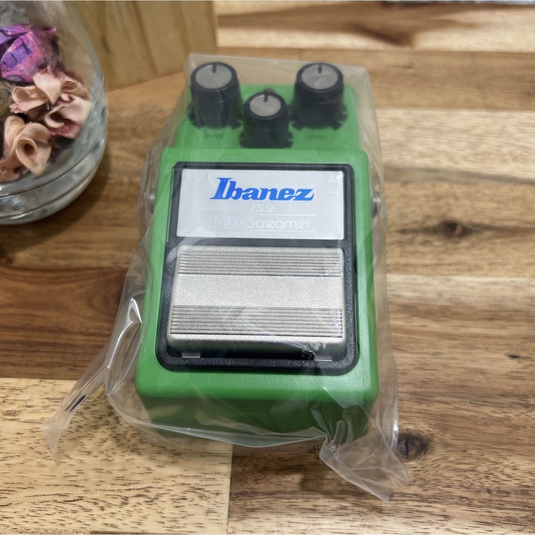 新品・未開封❣️ アイバニーズ Ibanez TS9 Tube Screamer