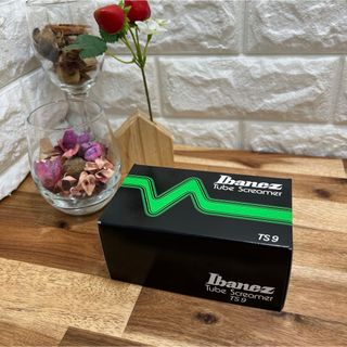 新品・未開封  Ibanez アイバニーズ  TS9 Tube Screamer