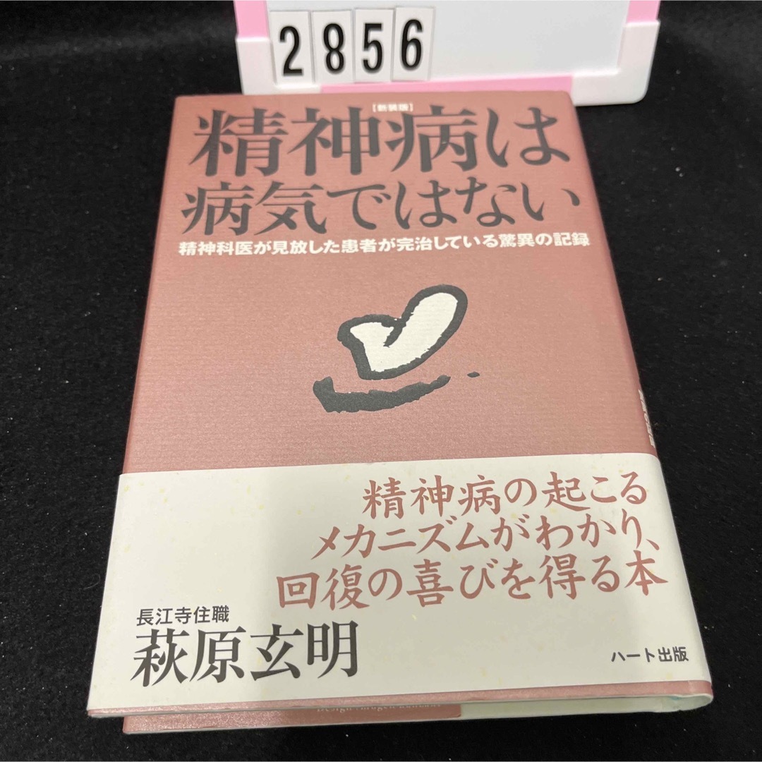 精神病は病気ではない 精神科医が見放した患者が完治している驚異の記録 新装版 エンタメ/ホビーの本(人文/社会)の商品写真