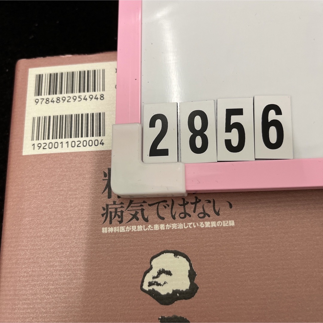 精神病は病気ではない 精神科医が見放した患者が完治している驚異の記録 新装版 エンタメ/ホビーの本(人文/社会)の商品写真