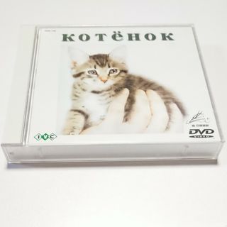 こねこ～旅するチグラーシャ～/ＤＶＤ/IVCF-142(外国映画)