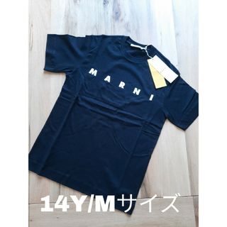 ⭐新品/大人気　MARNI  シンプルロゴ Tシャツ　ブラック 14Y/Mサイズ