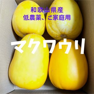 マクワウリ 4~9個  家庭用  約2kg(フルーツ)