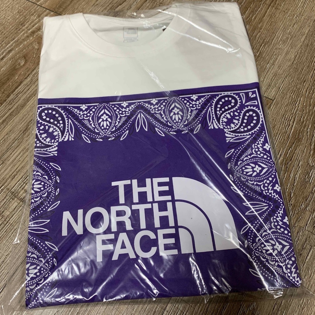 THE NORTH FACE(ザノースフェイス)のTHE NORTH FACE 韓国限定　お値下げしました！ メンズのトップス(Tシャツ/カットソー(半袖/袖なし))の商品写真