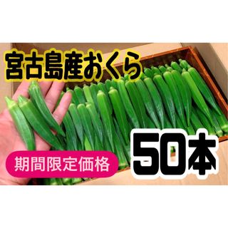 【50本】宮古島産　おくら　オクラ(野菜)