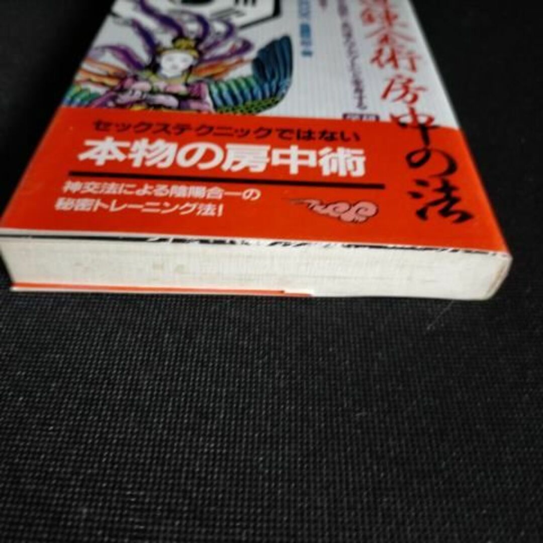 神秘行の最大奥義 秘密トレーニング 仙道錬金術 房中の法 高藤 聡一郎 エンタメ/ホビーの本(人文/社会)の商品写真