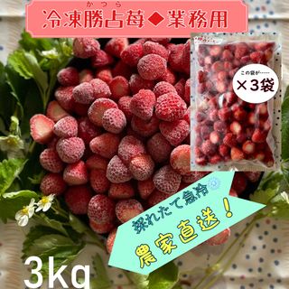 【送料無料】勝占冷凍いちご業務用3㎏(フルーツ)