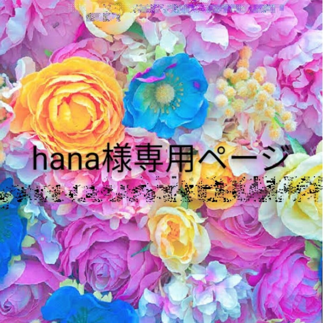 hana様専用ページの通販 by メロン's shop｜ラクマ