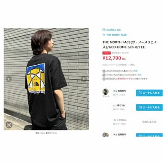 大特価❗ ノースフェイス Tシャツ バックプリント 半袖 ラウンドT K459A