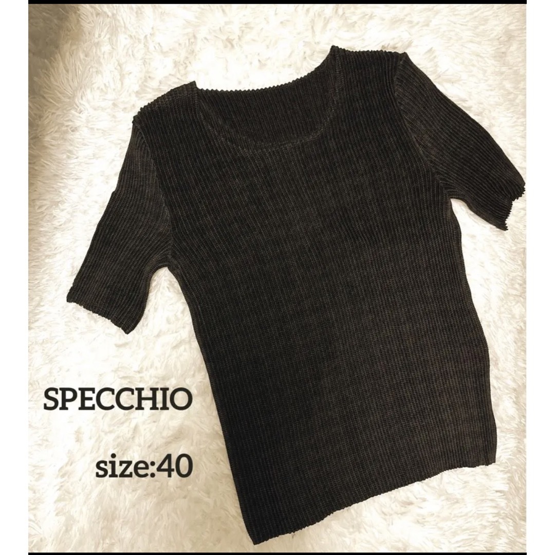 SPECCHIOスペッチオ プリーツカットソー 40 ブラウン