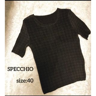 スペッチオ(SPECCHIO)のSPECCHIOスペッチオ プリーツカットソー 40 ブラウン(カットソー(半袖/袖なし))