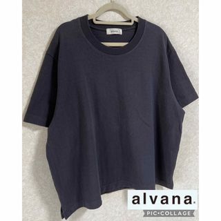 アルヴァナ(alvana)のalvana  アルヴァナ　Tシャツ　カットソー　トップス　レディース　黒(Tシャツ(半袖/袖なし))