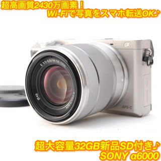 ソニー 一眼レフ(ミラーレス)(シルバー/銀色系)の通販 400点以上