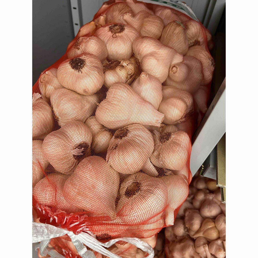 令和5年青森県産 乾燥にんにく 福地ホワイト六片 2L 10kg-
