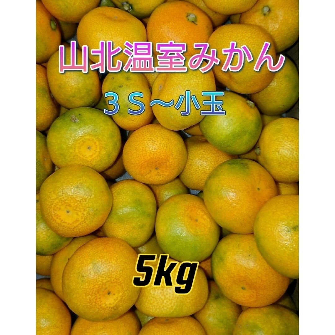 山北温室みかん 興津早生 緑混じり 3S～小玉 5㎏ 高知県産 食品/飲料/酒の食品(フルーツ)の商品写真