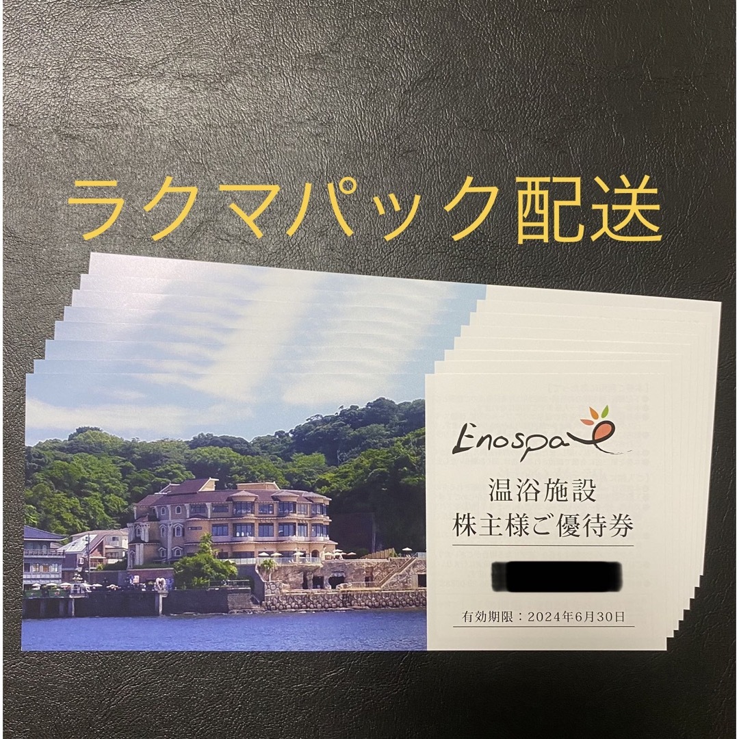 飯田グループ 株主優待 江の島アイランドスパ8枚 2024/06/30