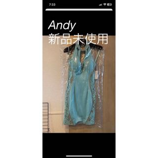 アンディ(Andy)の【新品未使用】Andy パーティドレス  お呼ばれドレス(その他)