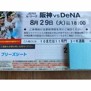 ハンシンタイガース(阪神タイガース)の8/29(火)阪神-DeNA ブリーズシート通路横ペア(野球)