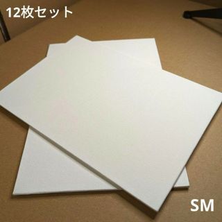 画材 キャンバス ボード 張りキャンバス 油絵 アクリル SM 12枚セット(ボードキャンバス)