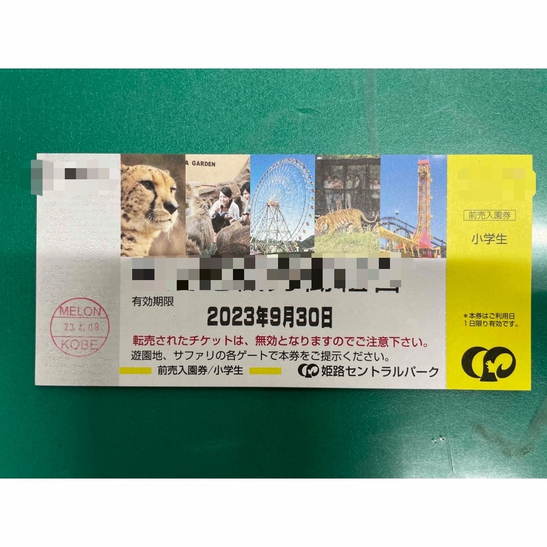 姫路セントラルパークチケット チケットの施設利用券(動物園)の商品写真