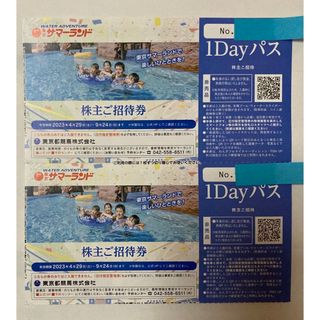 ２枚 東京サマーランド株主ご招待券 1Dayパス ガイド付(プール)
