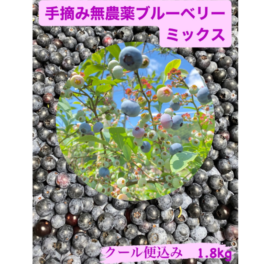 今だけSALE中クール便配送📦　無農薬ブルーベリー　１.８kg  🫐　日発送予定 食品/飲料/酒の食品(フルーツ)の商品写真