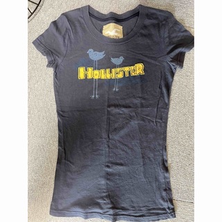 ホリスター(Hollister)のホリスター　Tシャツ　レディースS(Tシャツ(半袖/袖なし))