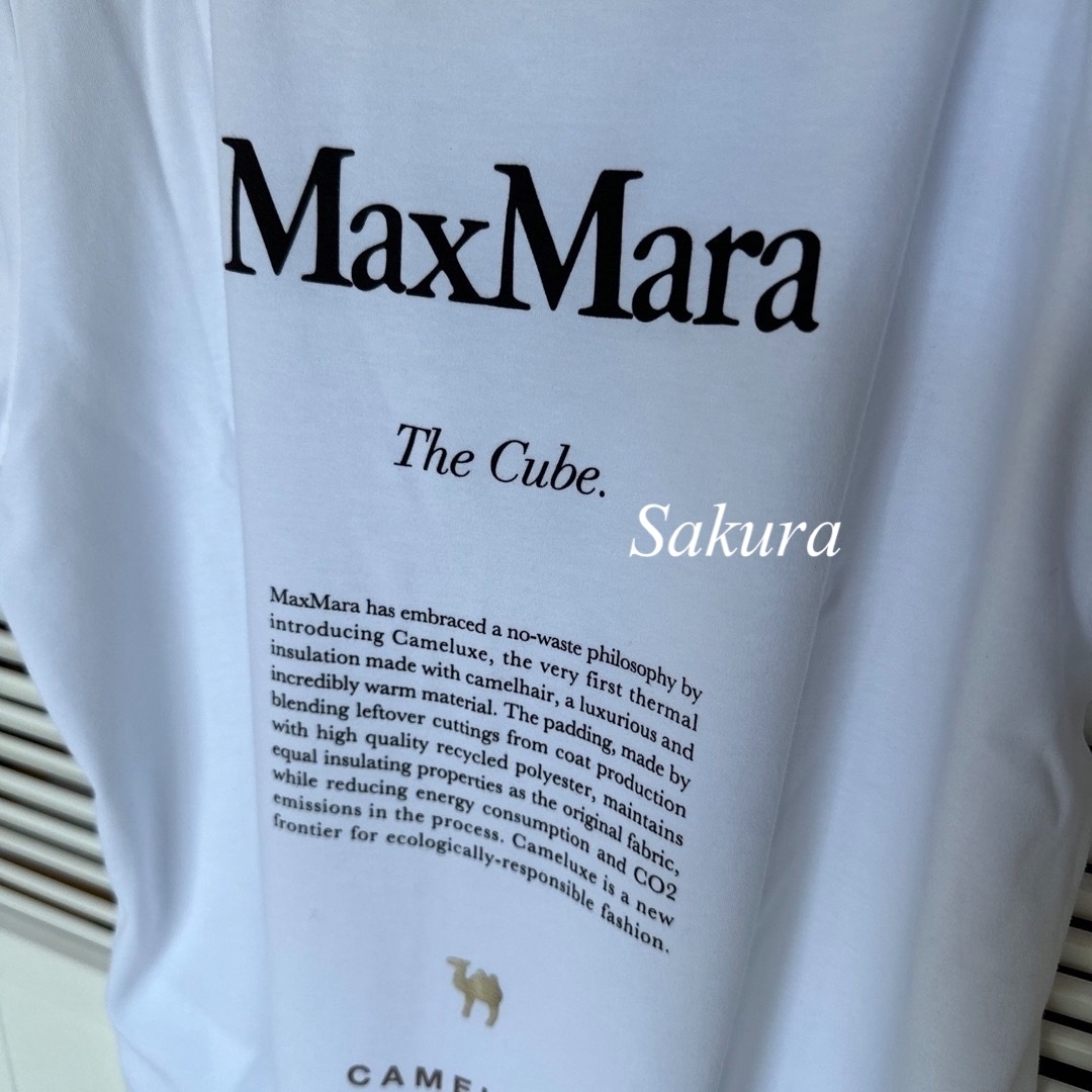 'S Max Mara(エスマックスマーラ)のMax Mara The Cube 2023 Tシャツ 百貨店購入 レディースのトップス(Tシャツ(半袖/袖なし))の商品写真