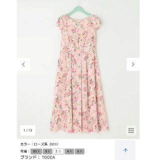 トッカ(TOCCA)のTOCCA WATERCOLOR HARMONY ロングドレス(ロングワンピース/マキシワンピース)