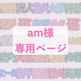 am様　専用ページ(その他)