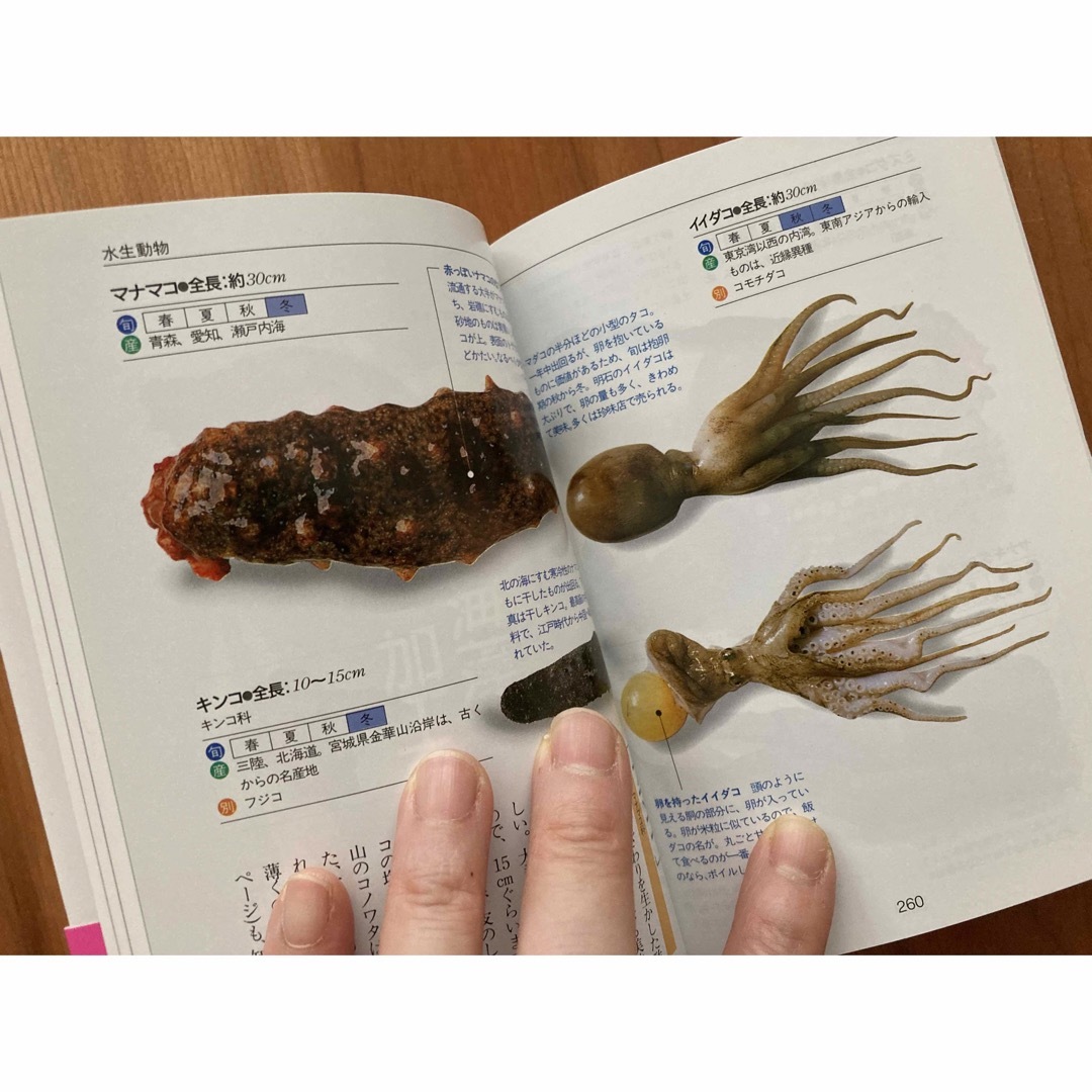 割引発見 1.5m(数量15)までならゆうパケット対応商用利用可 紺 オックス生地 ゆうパケット対応