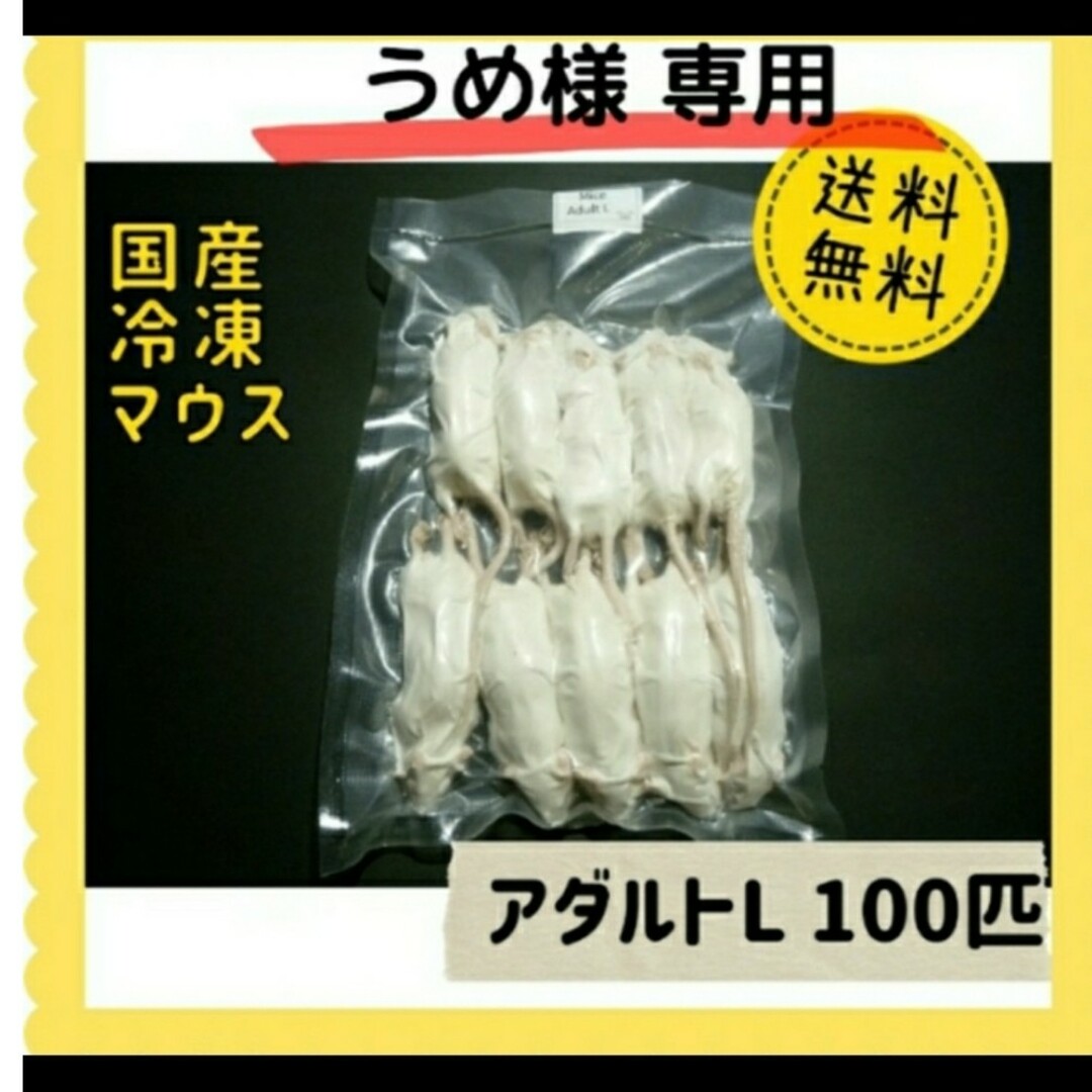 国産冷凍マウス　アダルトL100匹ペット用品