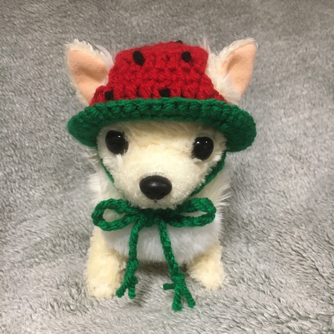 ハンドメイド　小型犬用　帽子