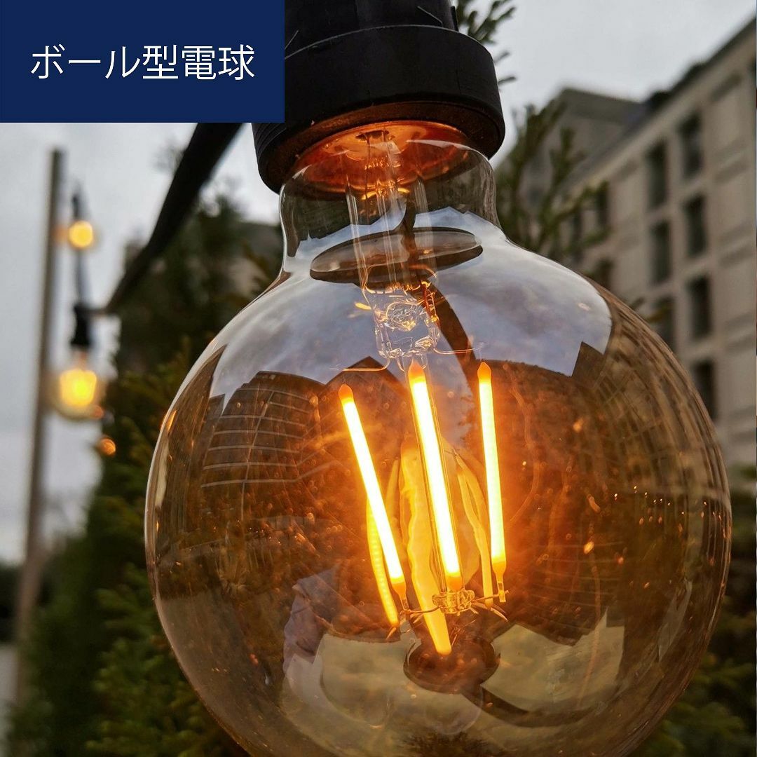 【色: Gold】FLSNT LED 電球 エジソン電球 E26口金 60W形相