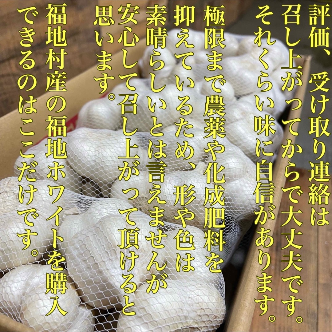 希少　福地村産　福地ホワイト　L 1kg 青森県産　乾燥にんにく　令和5年産 食品/飲料/酒の食品(野菜)の商品写真