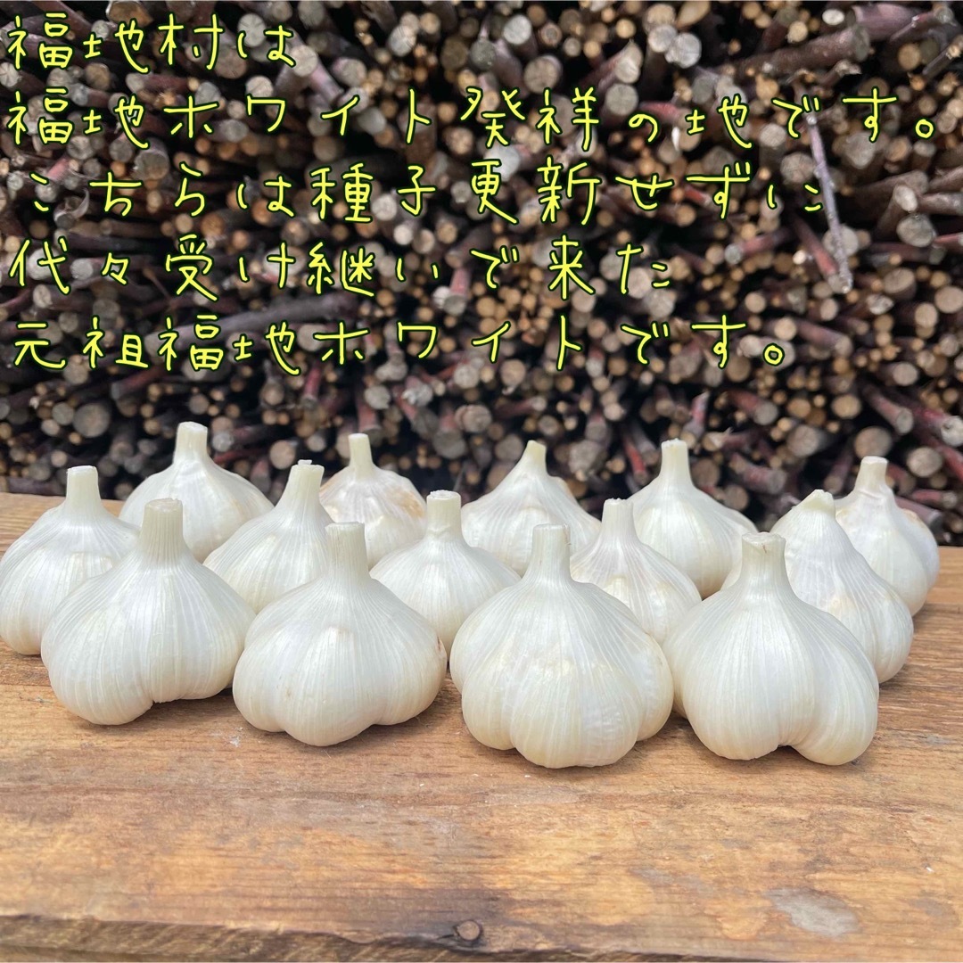 35%OFF】 希少 福地村産 福地ホワイト L 1kg 青森県産 乾燥にんにく