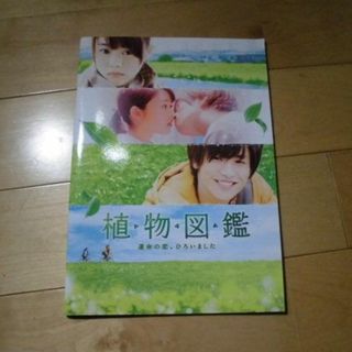 植物図鑑//映画パンフレット//岩田剛典/高畑充希/今井華/谷澤恵里香 (アート/エンタメ/ホビー)