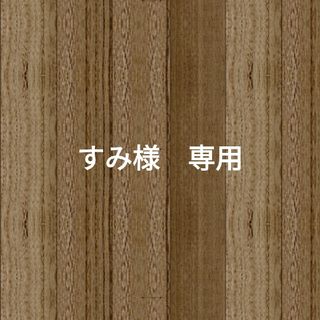 すみ様　専用です(その他)