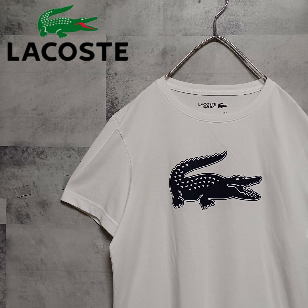 LACOSTE ラコステ メンズTシャツ L スポーツ